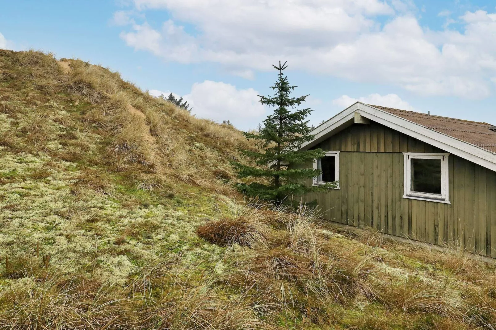 4 persoons vakantie huis in Blokhus-Uitzicht