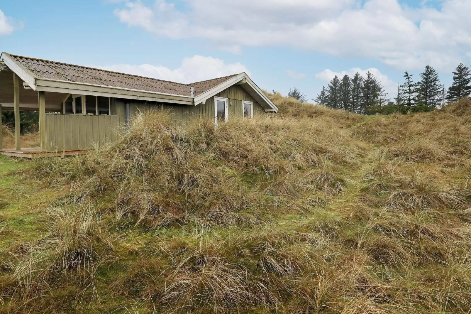 4 persoons vakantie huis in Blokhus-Uitzicht