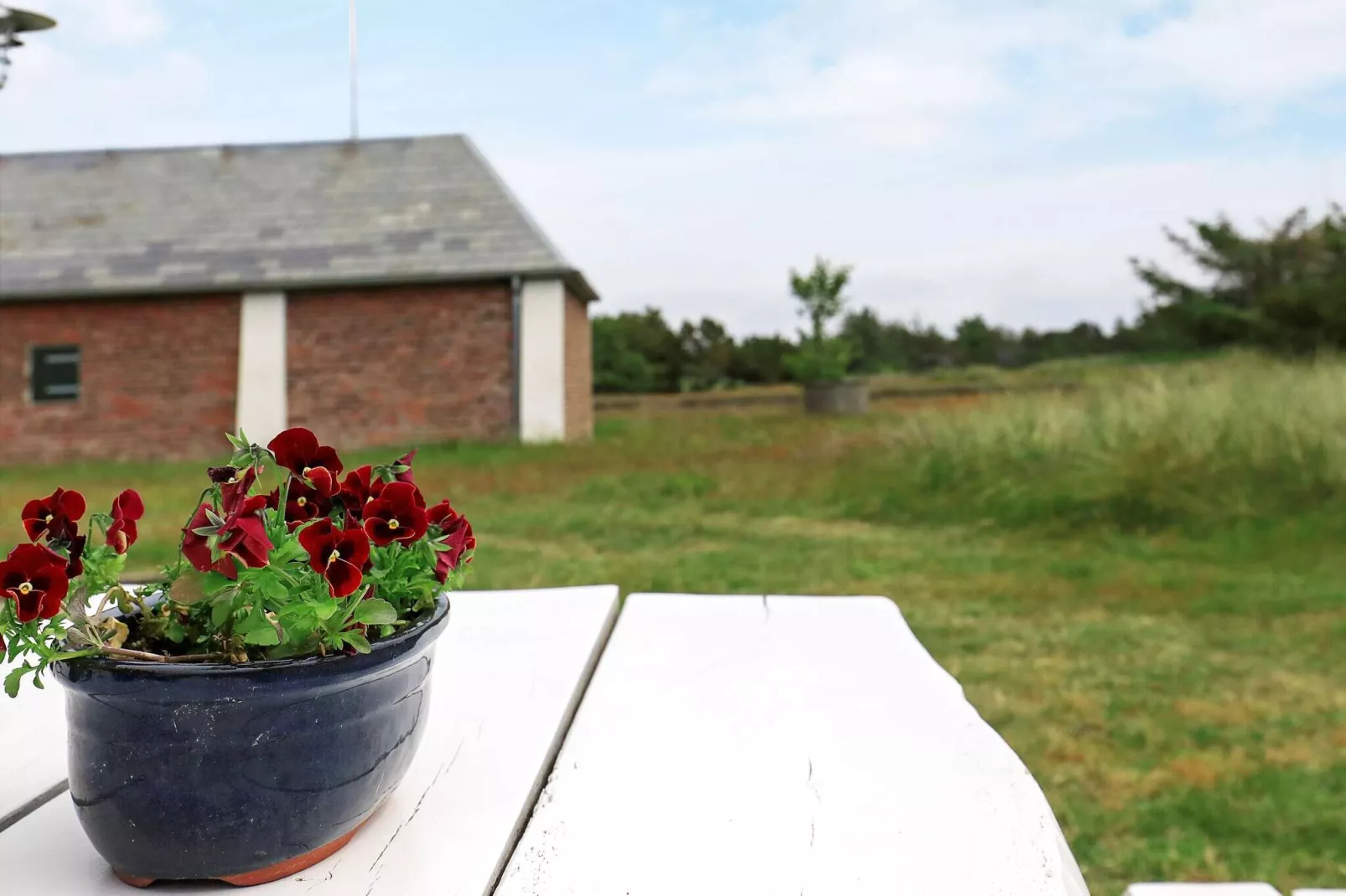 7 persoons vakantie huis in Blåvand-Uitzicht