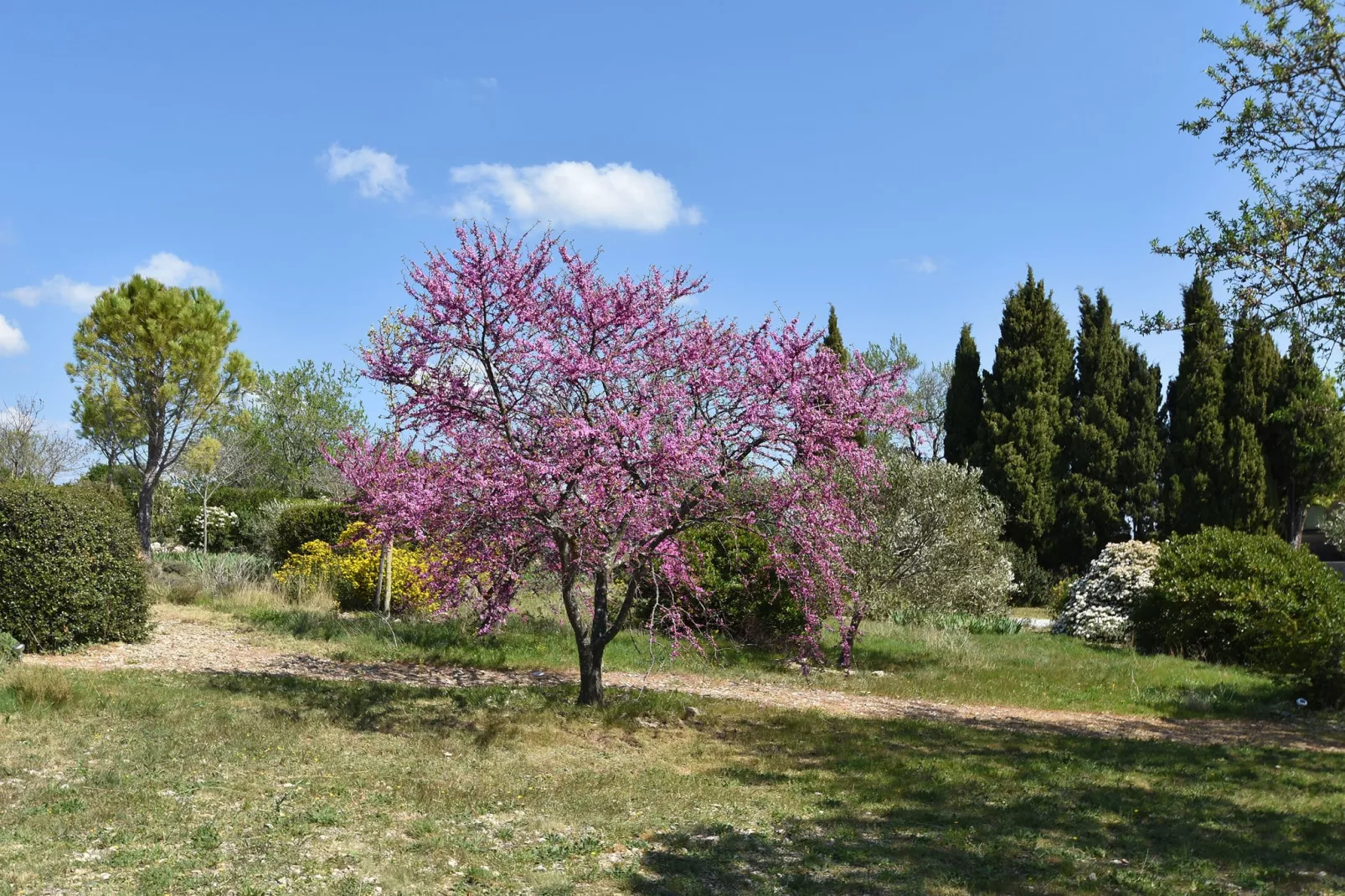 Villa Les Garouillettes-Tuinen zomer