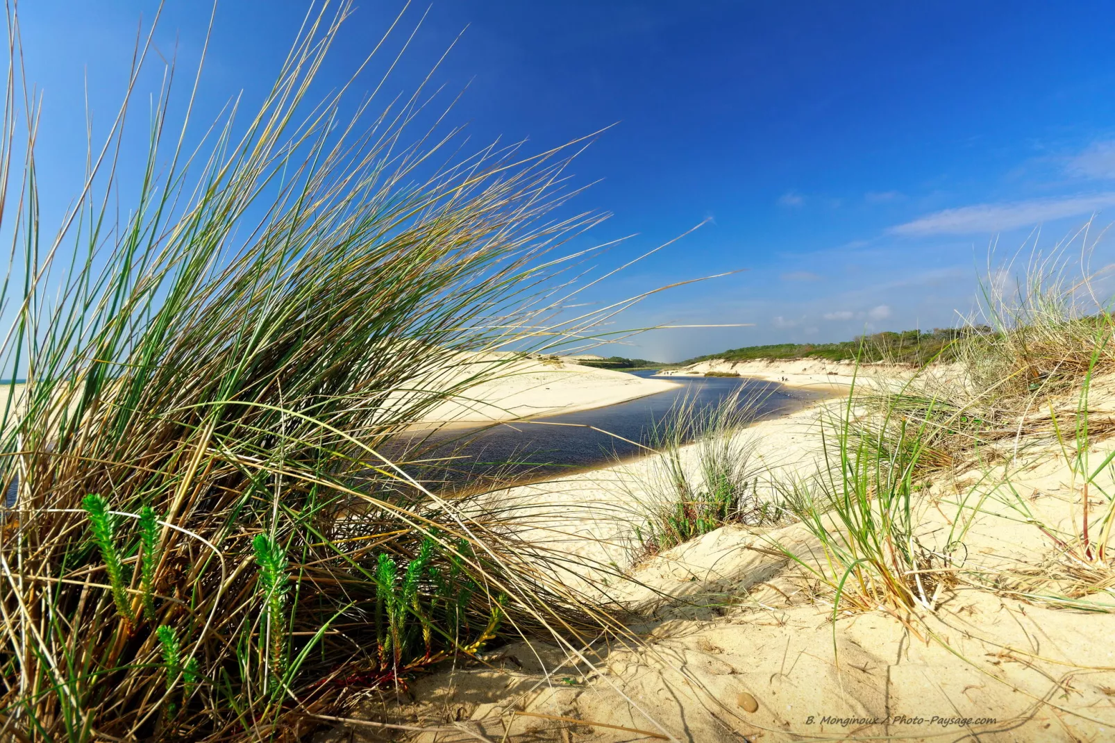 Appartement entre Golf et Océan-Gebieden zomer 5km