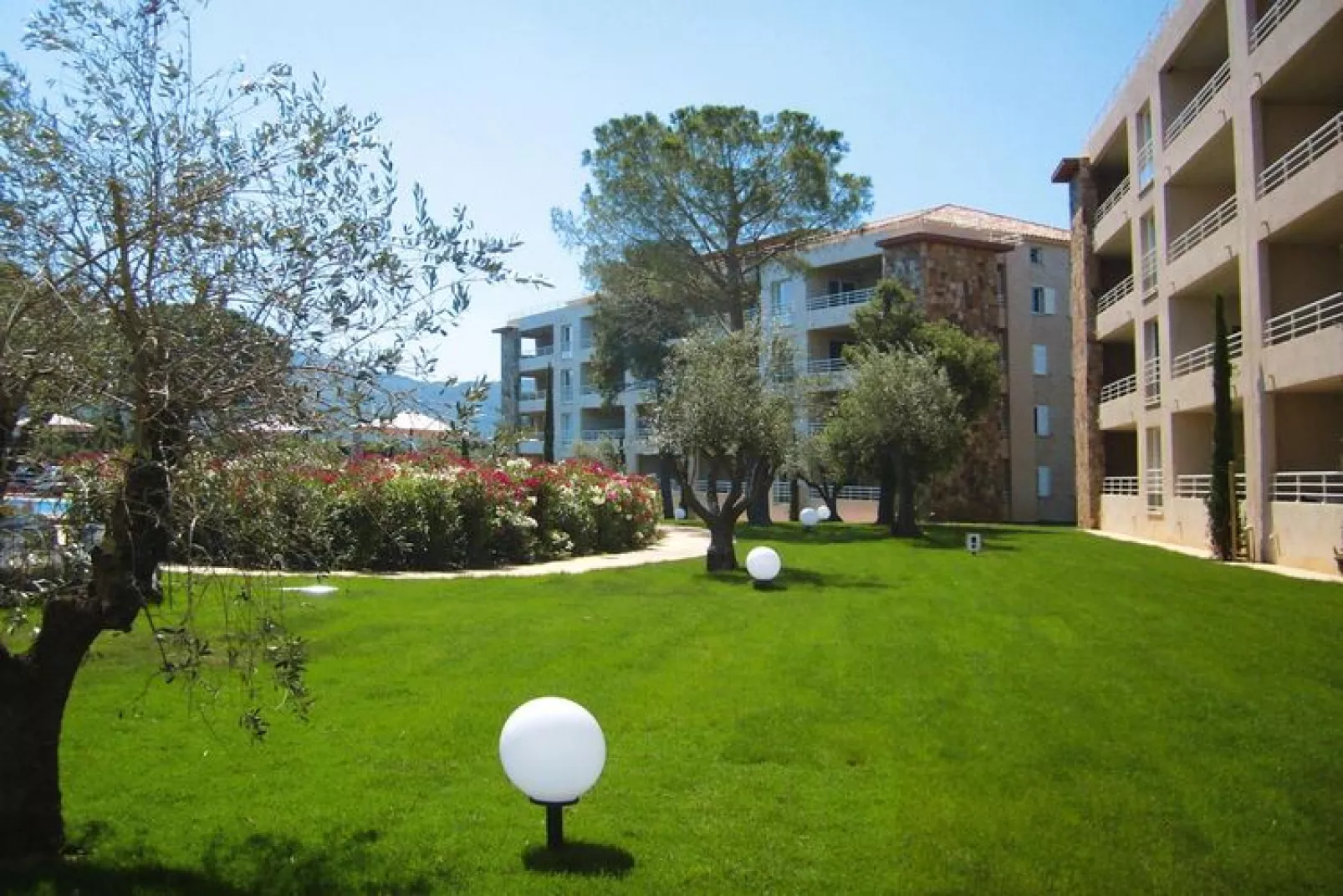 Residence Salina Bay Porto-Vecchio // F3  - 6 pers- côté piscine-Tuinen zomer