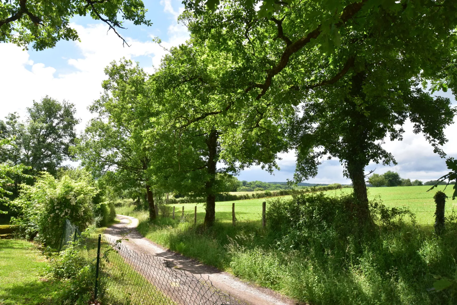 Maison de vacances Rueyres-Gebieden zomer 1km