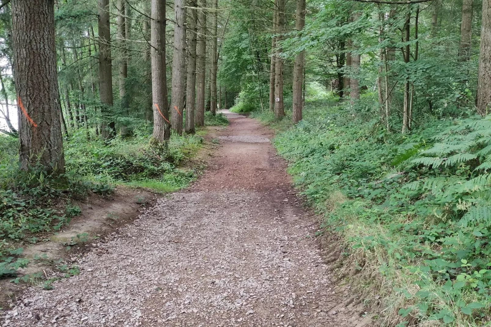 Maison de vacances Crux la Ville-Gebieden zomer 1km