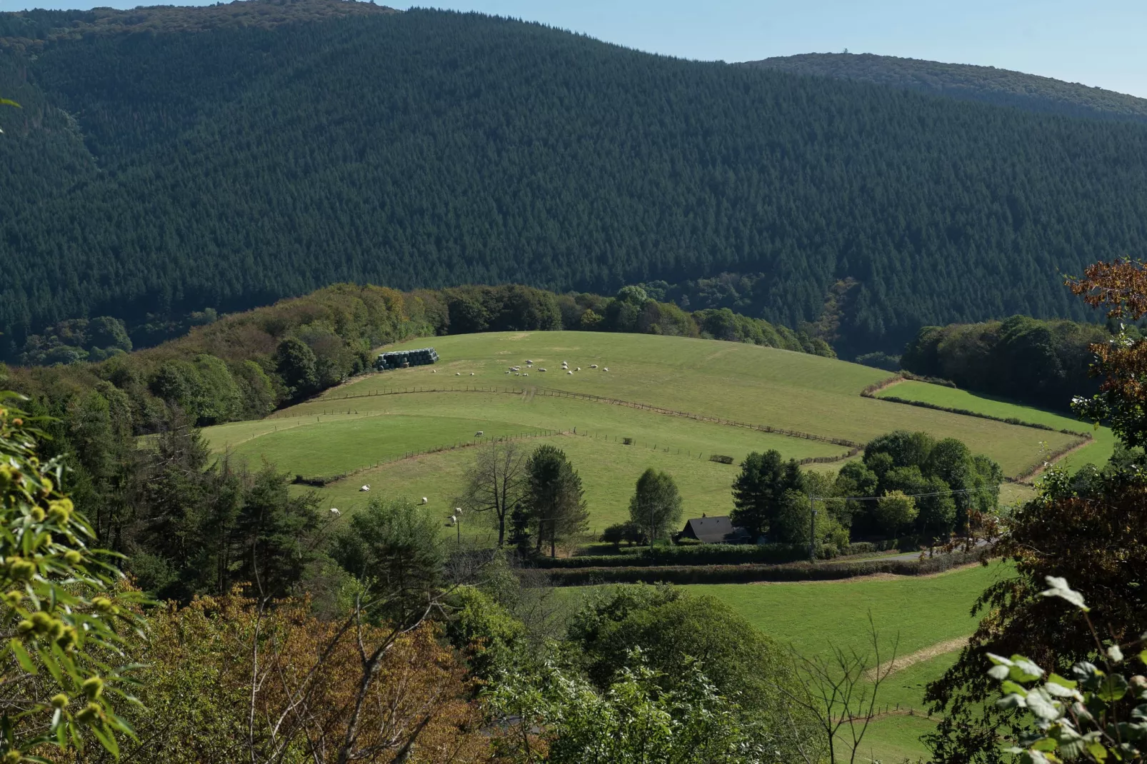 Gîte St Honoré les Bains-Gebieden zomer 1km