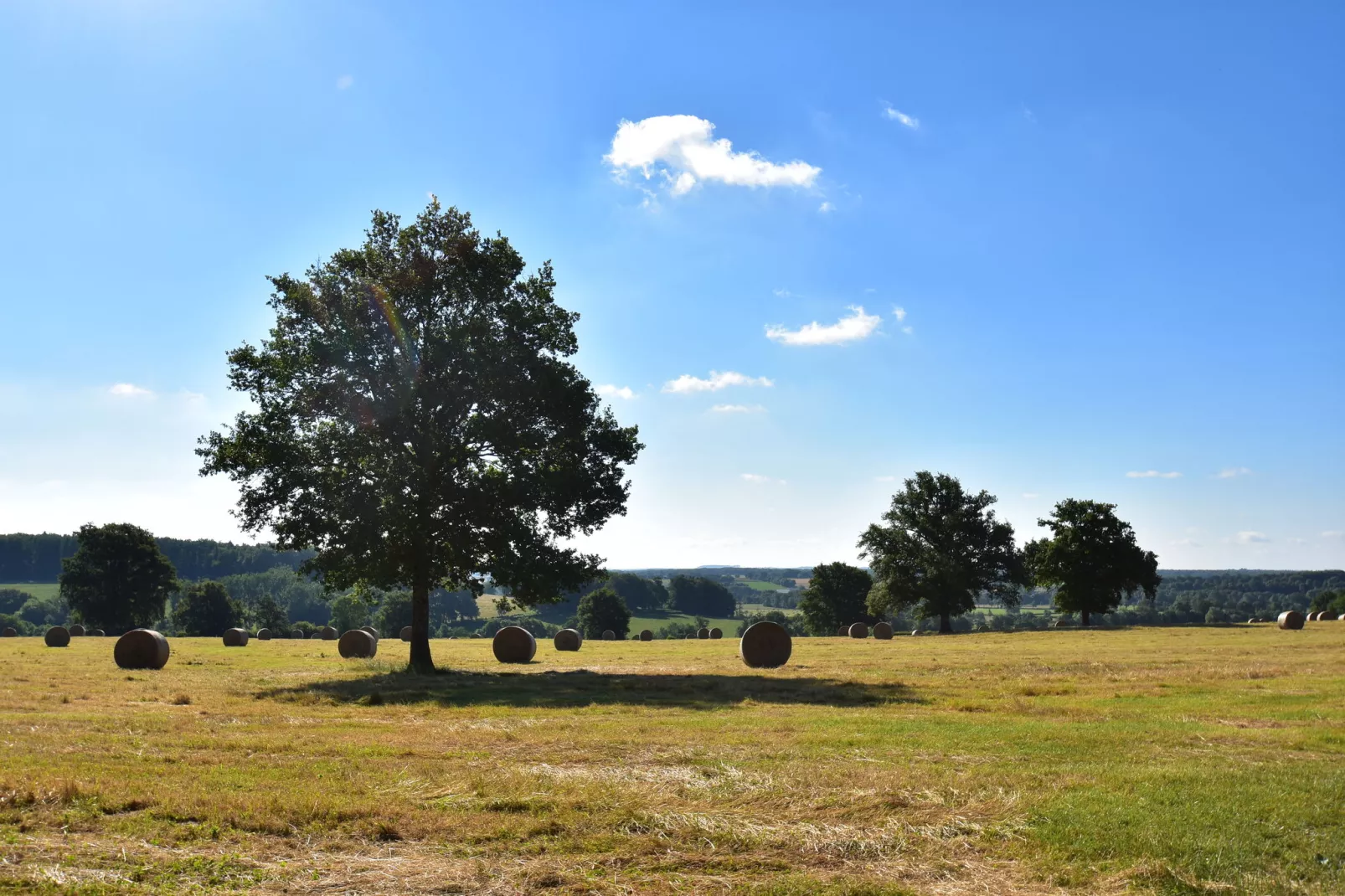 Maison Ferdinand-Gebieden zomer 20km