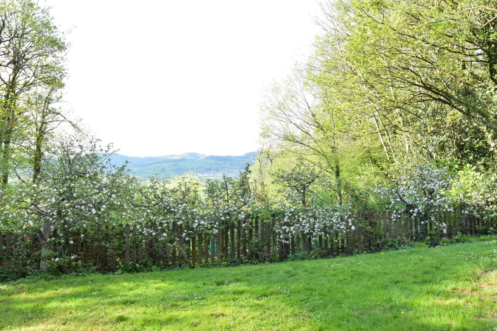 Laiterie du manoir de Thard-Uitzicht zomer