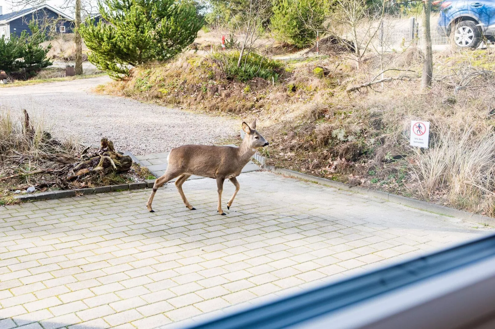 8 persoons vakantie huis op een vakantie park in Nørre Nebel-Uitzicht