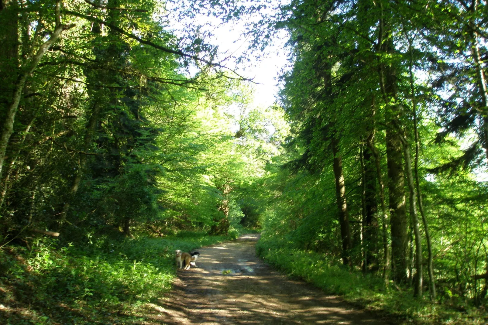 Laiterie du manoir de Thard-Gebieden zomer 1km