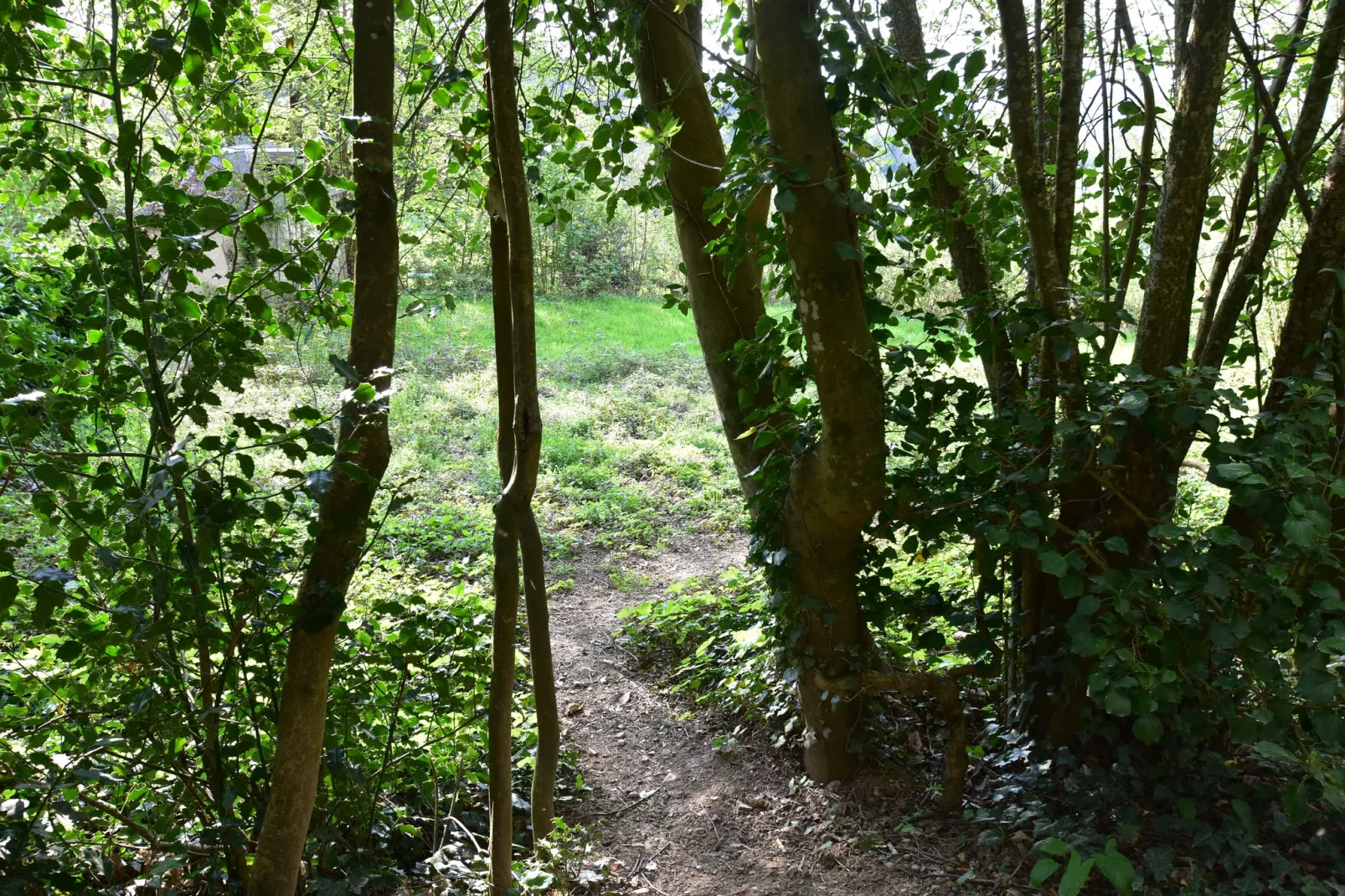 Laiterie du manoir de Thard-Gebieden zomer 1km