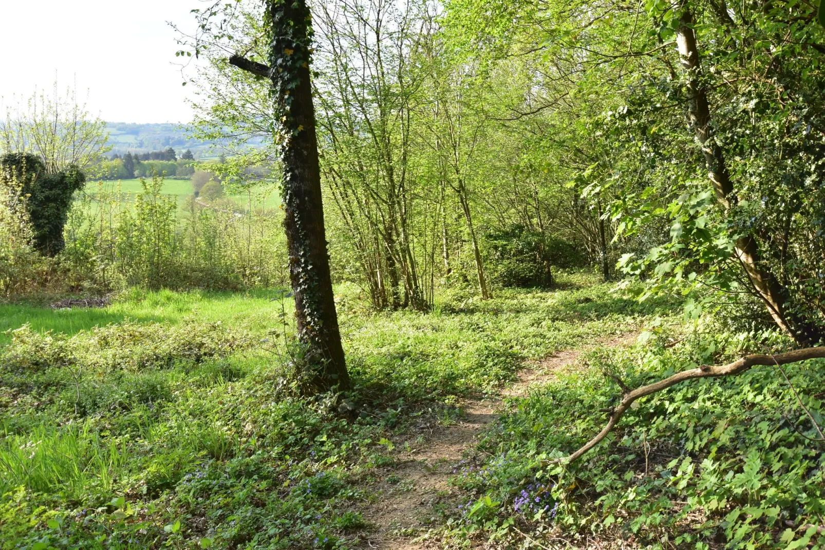 Laiterie du manoir de Thard-Gebieden zomer 1km