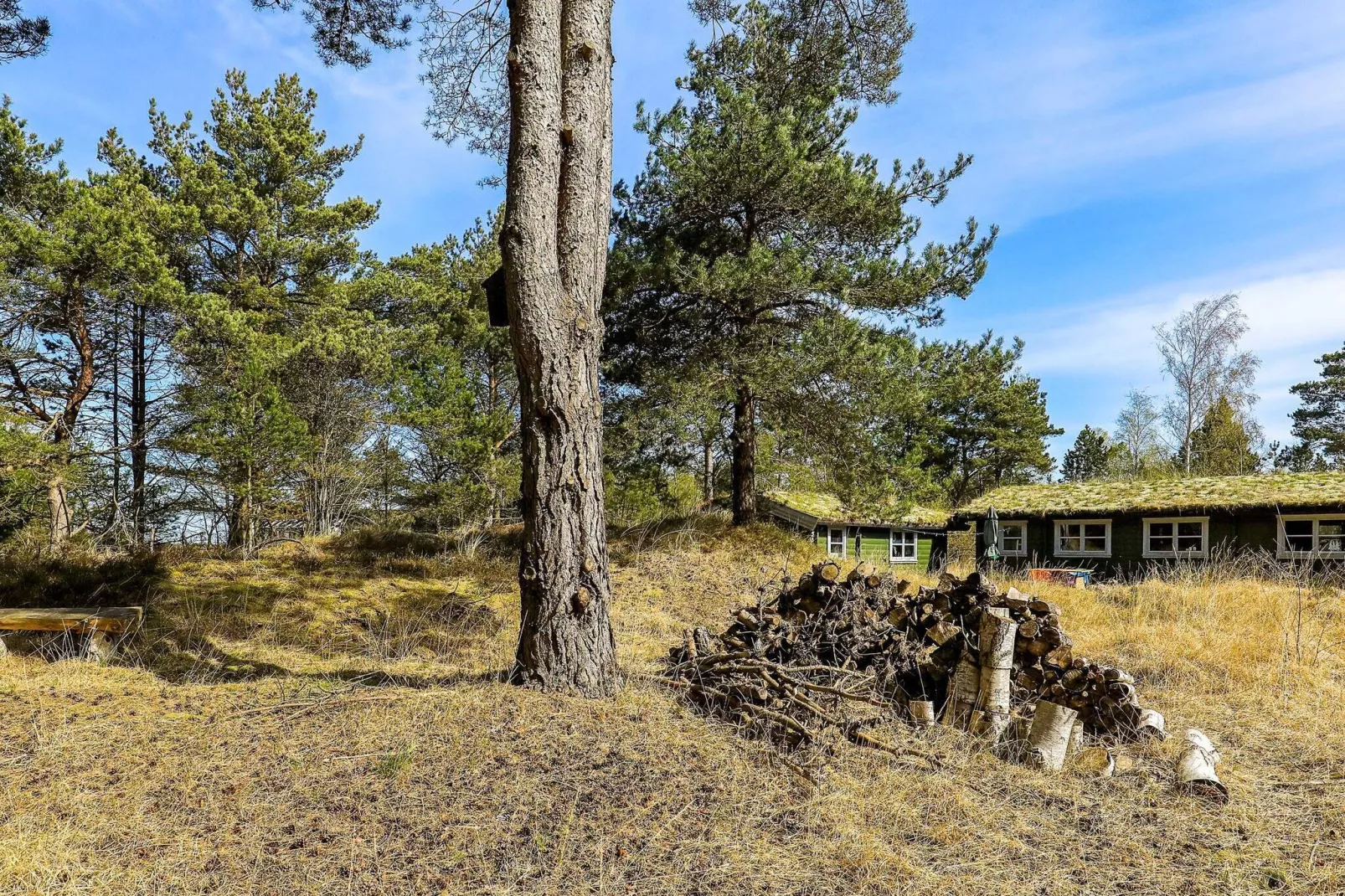 4 persoons vakantie huis in Læsø-Uitzicht