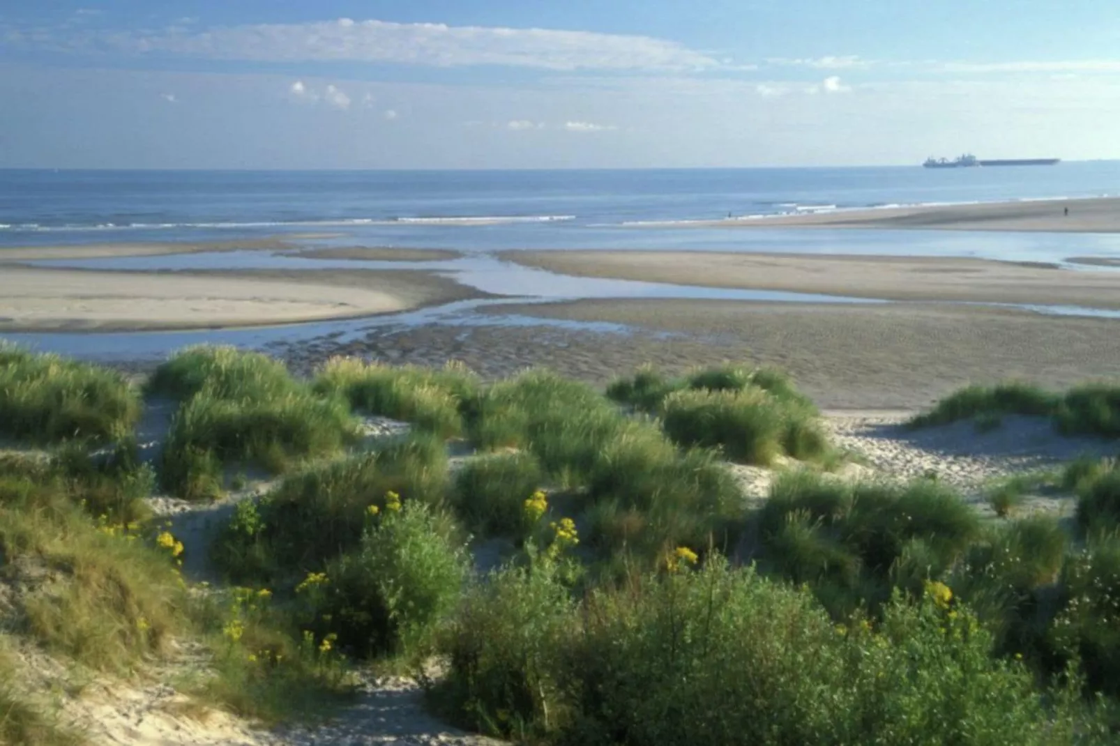 Etoile de Mer 1-Gebieden zomer 1km