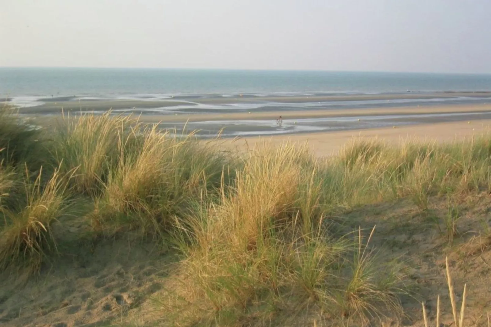 Etoile de Mer 1-Gebieden zomer 1km