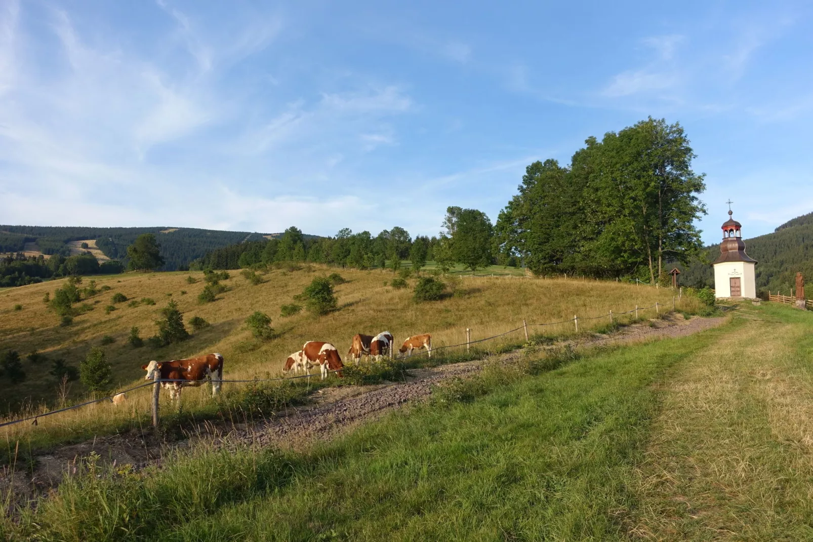 Rokytno-Gebieden zomer 5km