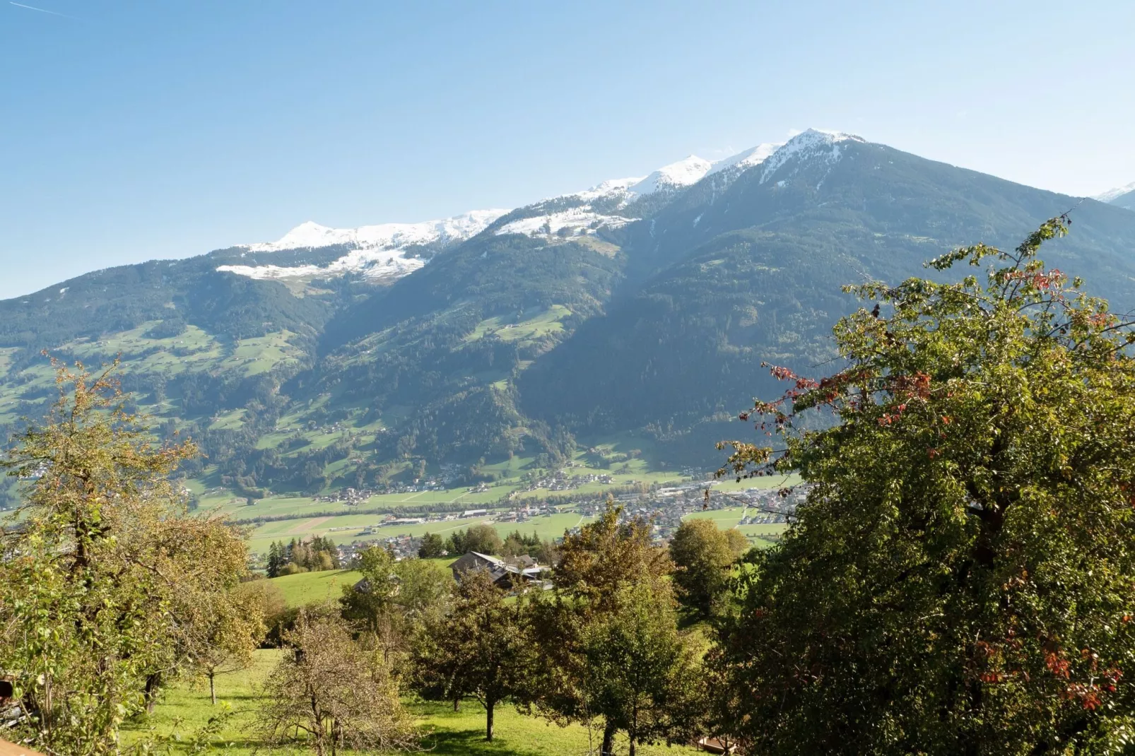 Steigerhof-Gebieden zomer 1km