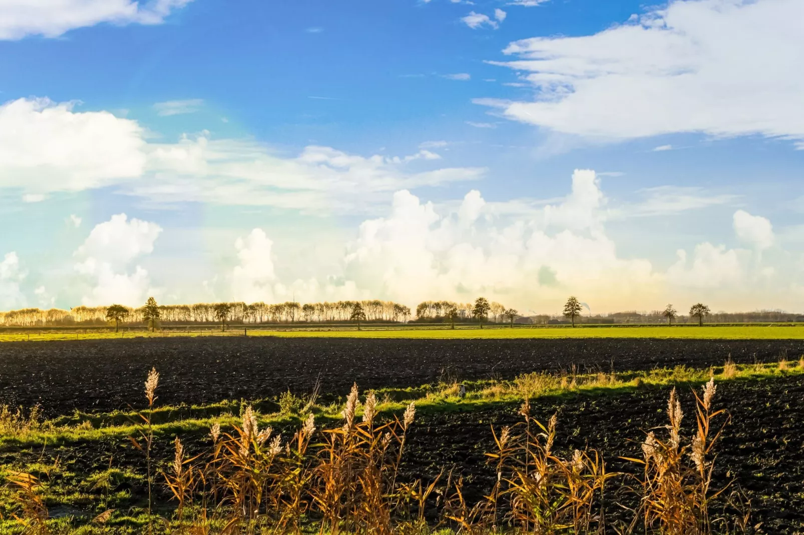 Vakantiehuisje 2 Vuur Groene Camping Lage Zwaluwe-Gebieden zomer 5km