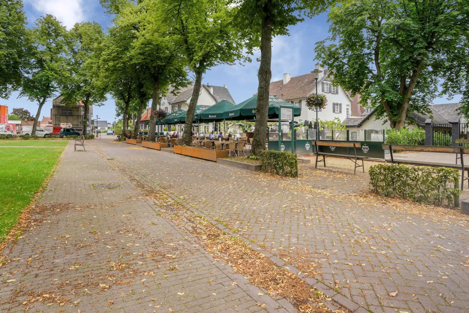 In de Witte Dame - 32-Gebieden zomer 1km