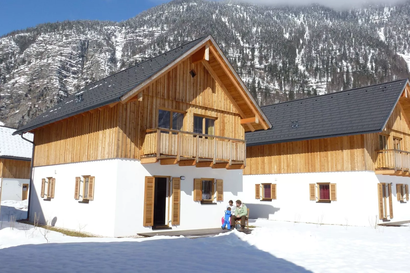 Luxery Salzkammergut Chalet B-Exterieur winter
