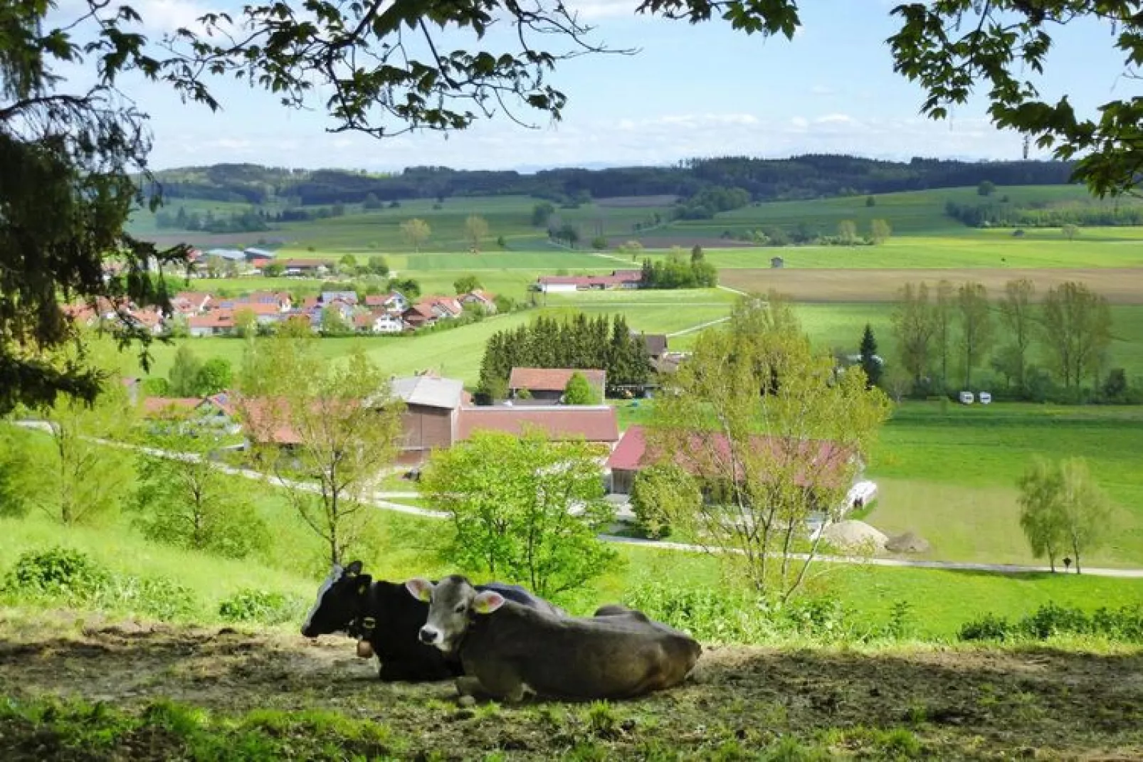 Holiday farm, Friesenried-Bauernhaus Amm, 96 qm-Buitenkant zomer