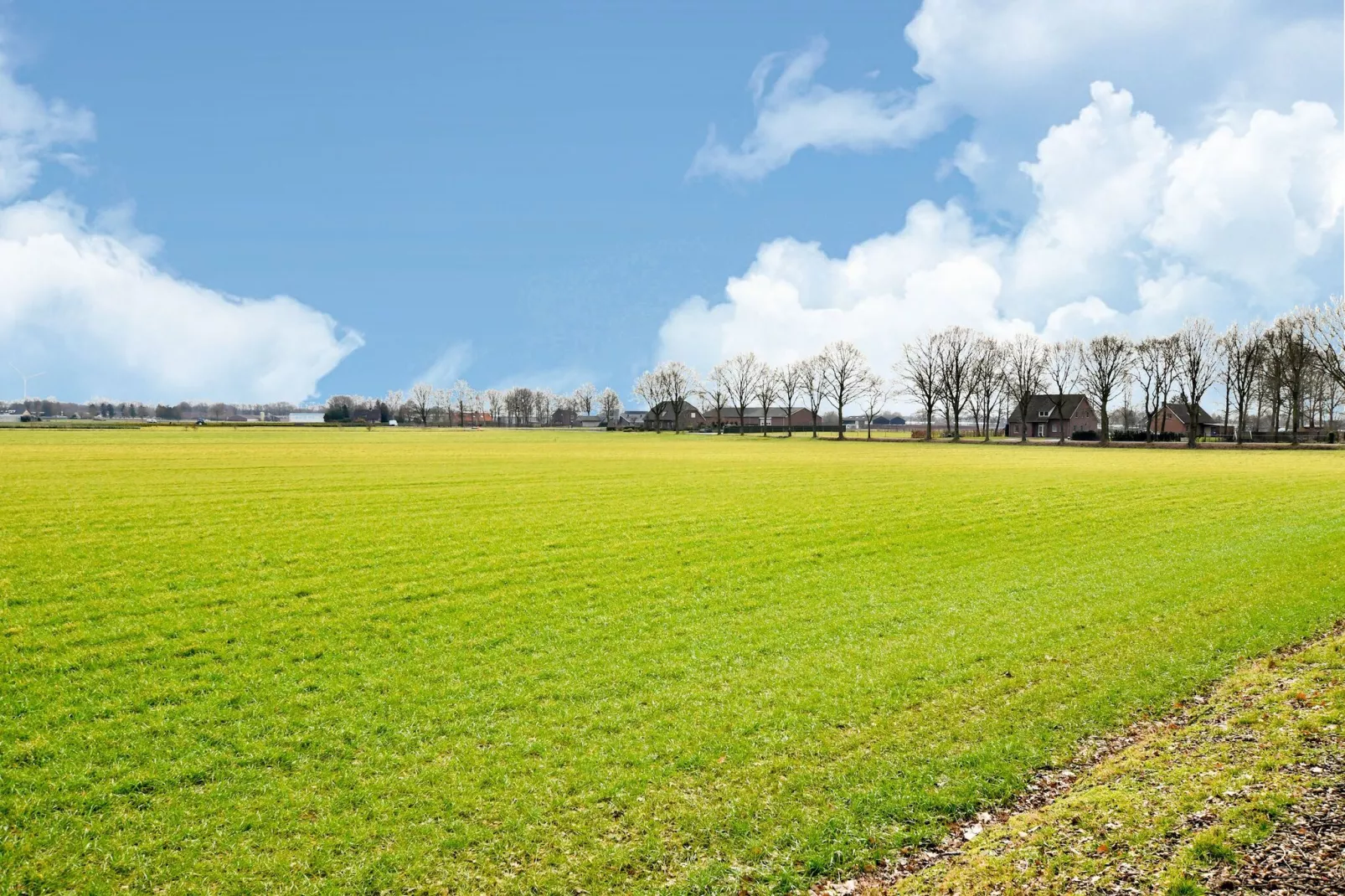 Stille WIlle Nr B126-Gebieden zomer 1km