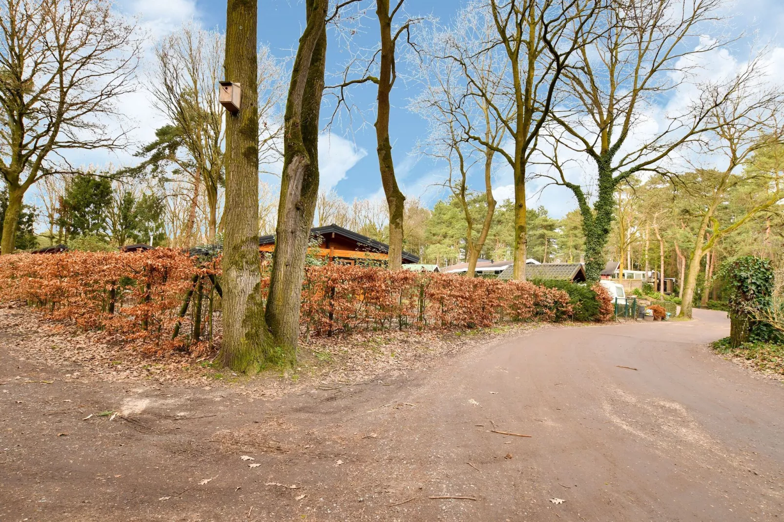 Stille WIlle Nr B126-Gebieden zomer 1km