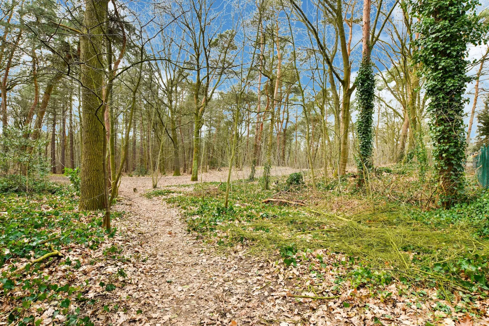 Stille WIlle Nr B126-Gebieden zomer 5km