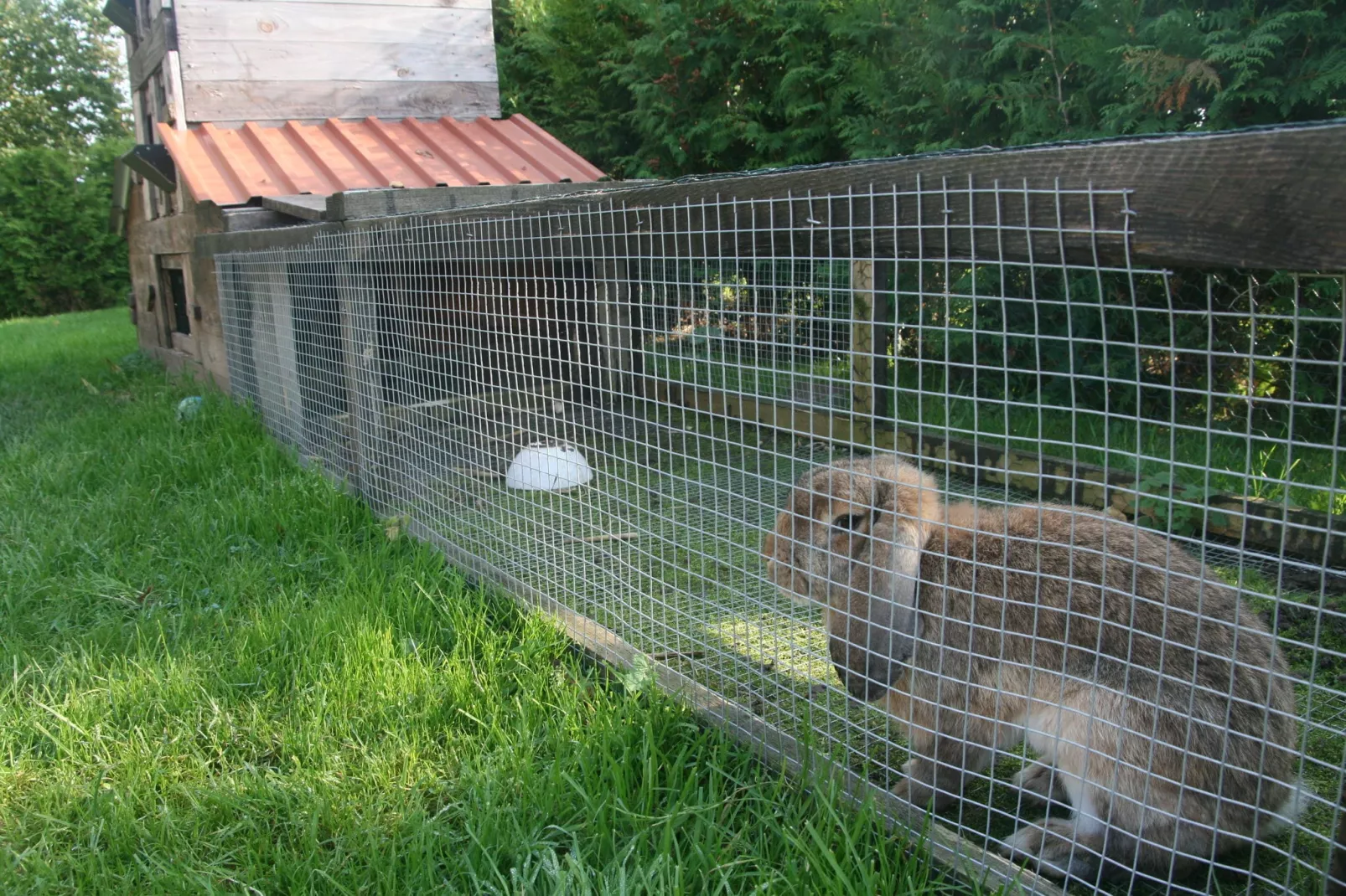 Ferienzimmer im Landhaus bei Kühlungsborn-Tuinen zomer