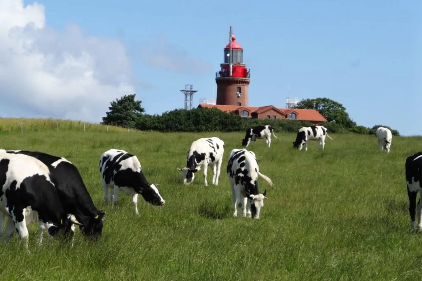 Ferienzimmer im Landhaus bei Kühlungsborn-Uitzicht zomer