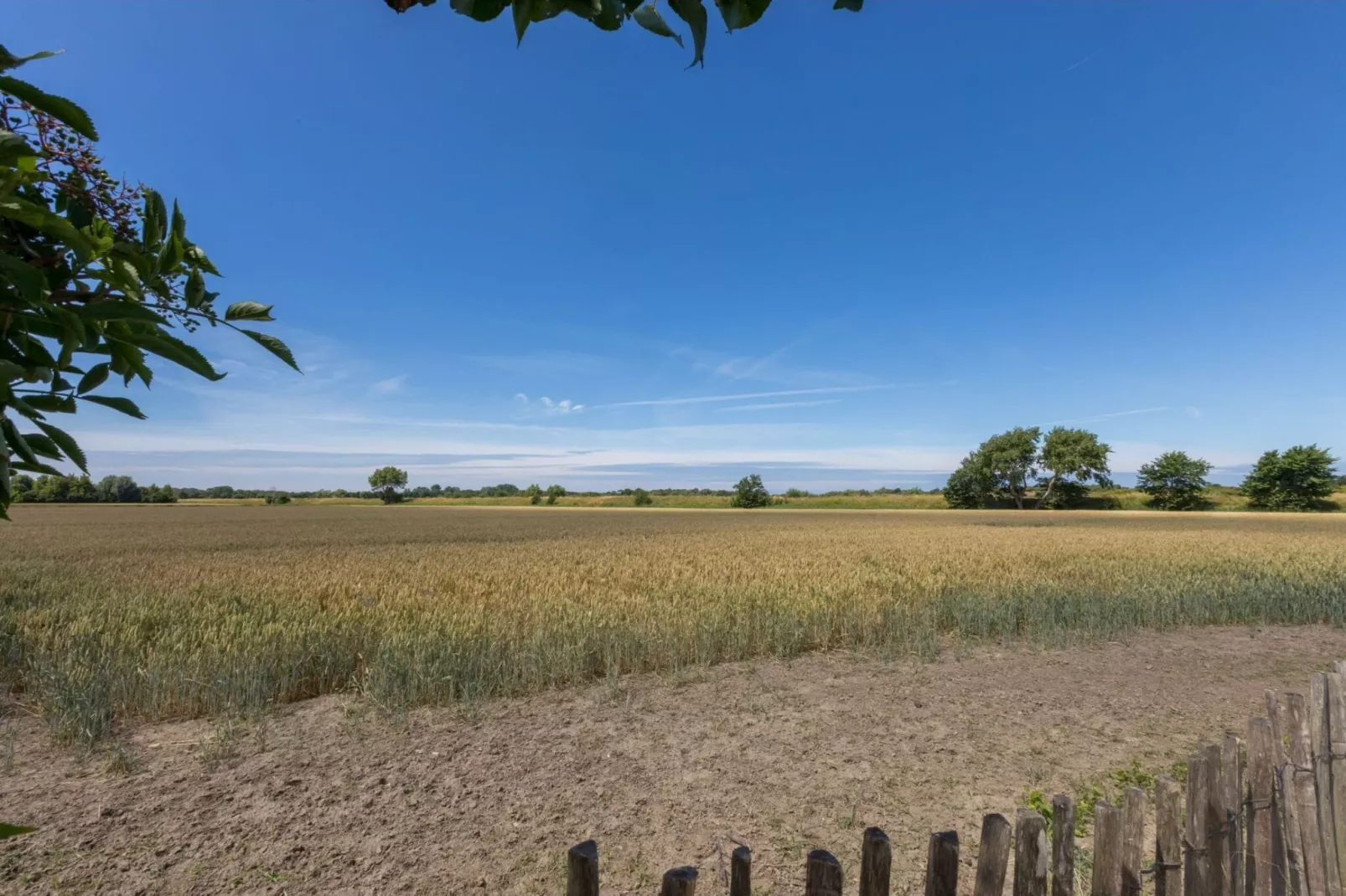 Wikkelhouse - Kon Emmaweg 6  Vrouwenpolder-Gebieden zomer 1km