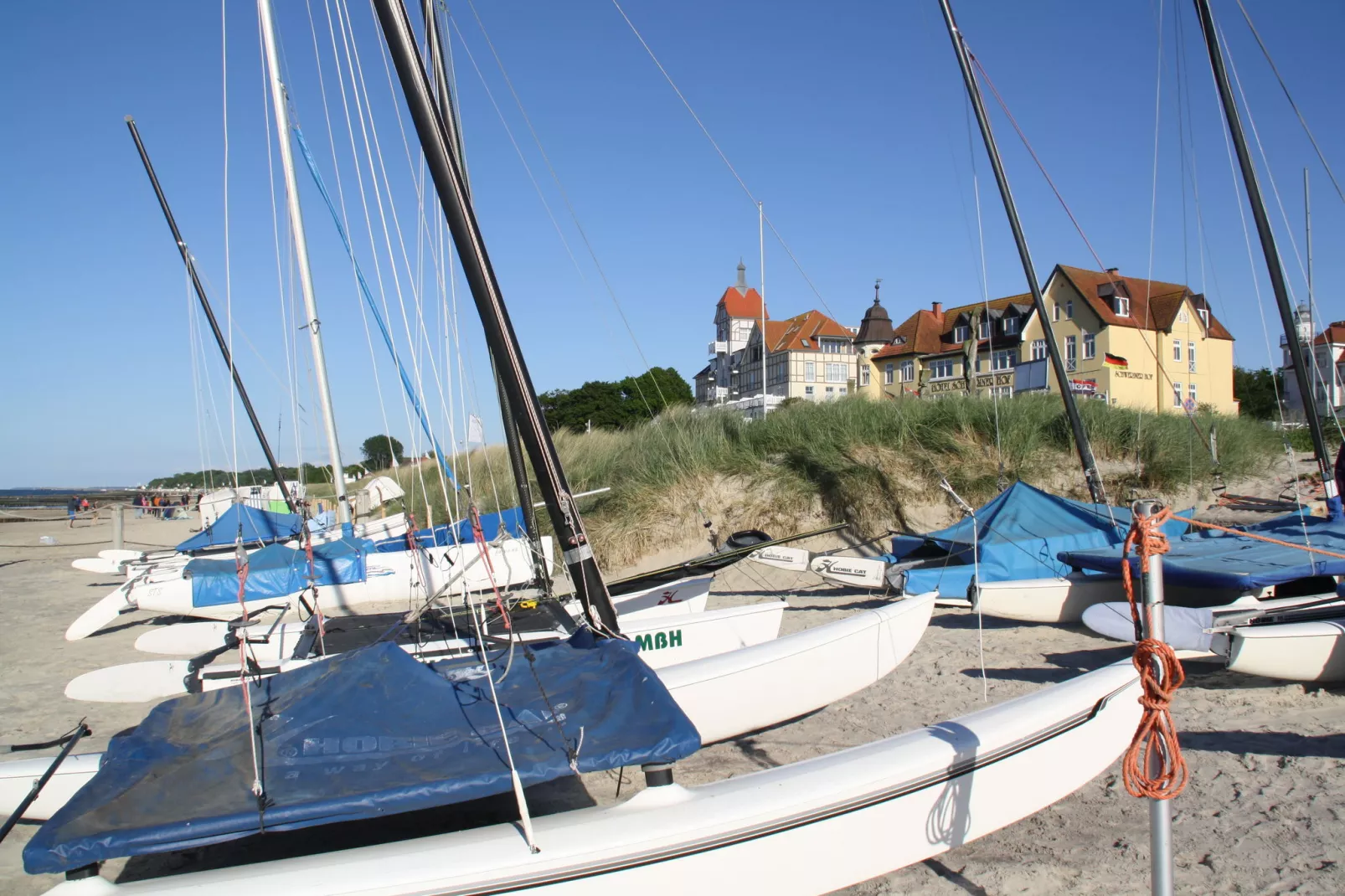 Sommerrose-Gebieden zomer 20km