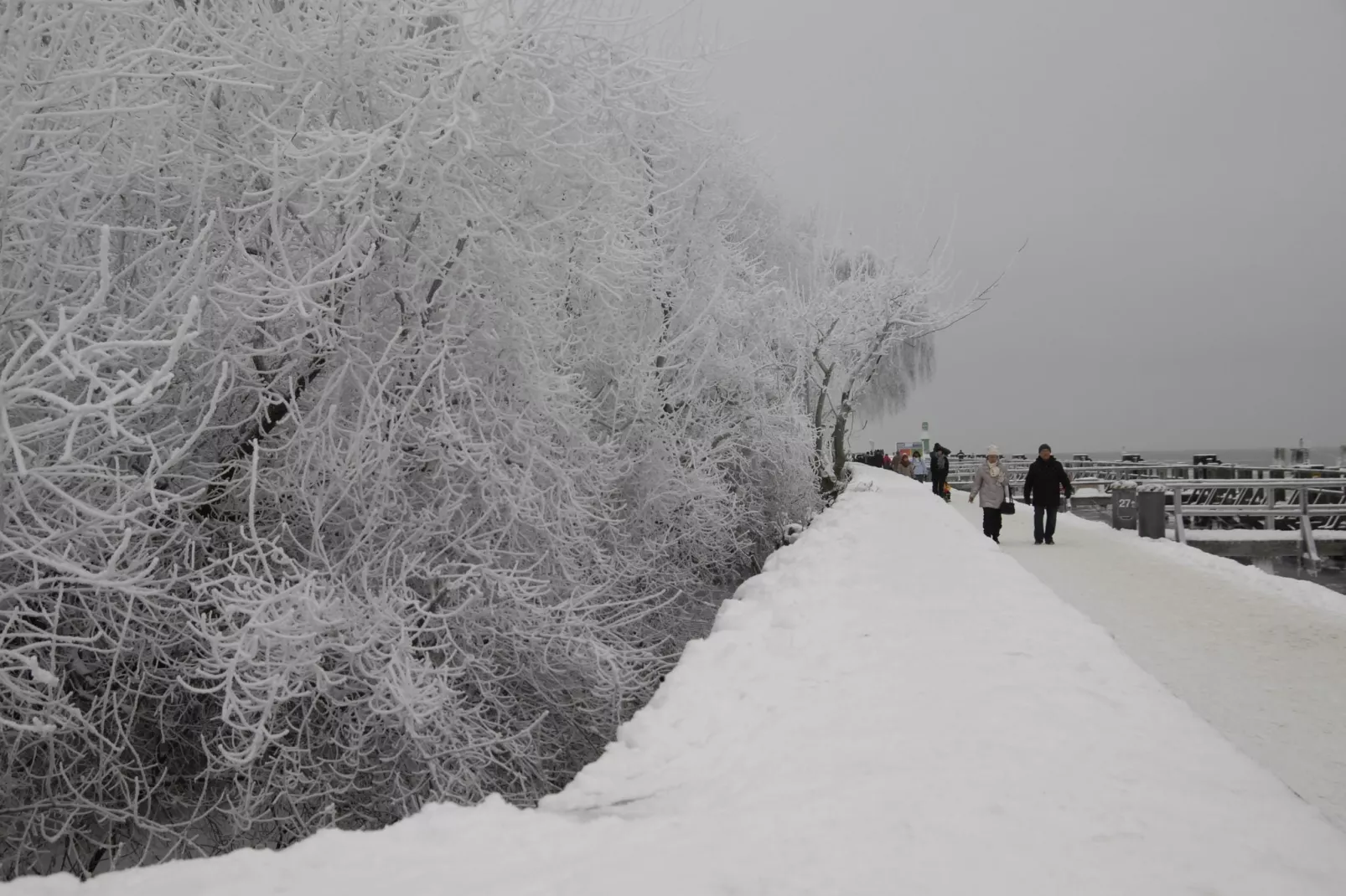 Sommerrose-Gebied winter 5km