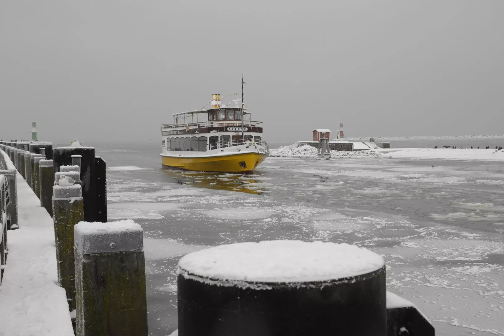 Sommerrose-Gebied winter 20km