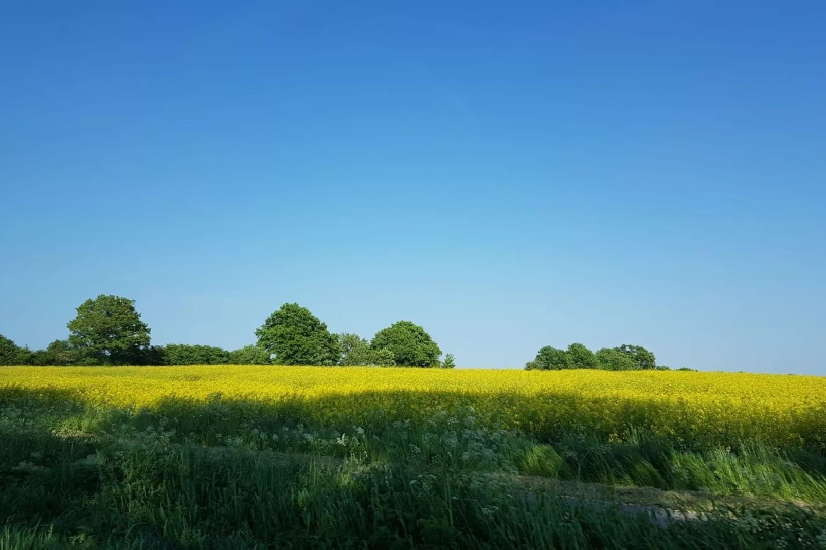 Ferienwohnung Seerose in Klütz-Gebieden zomer 1km