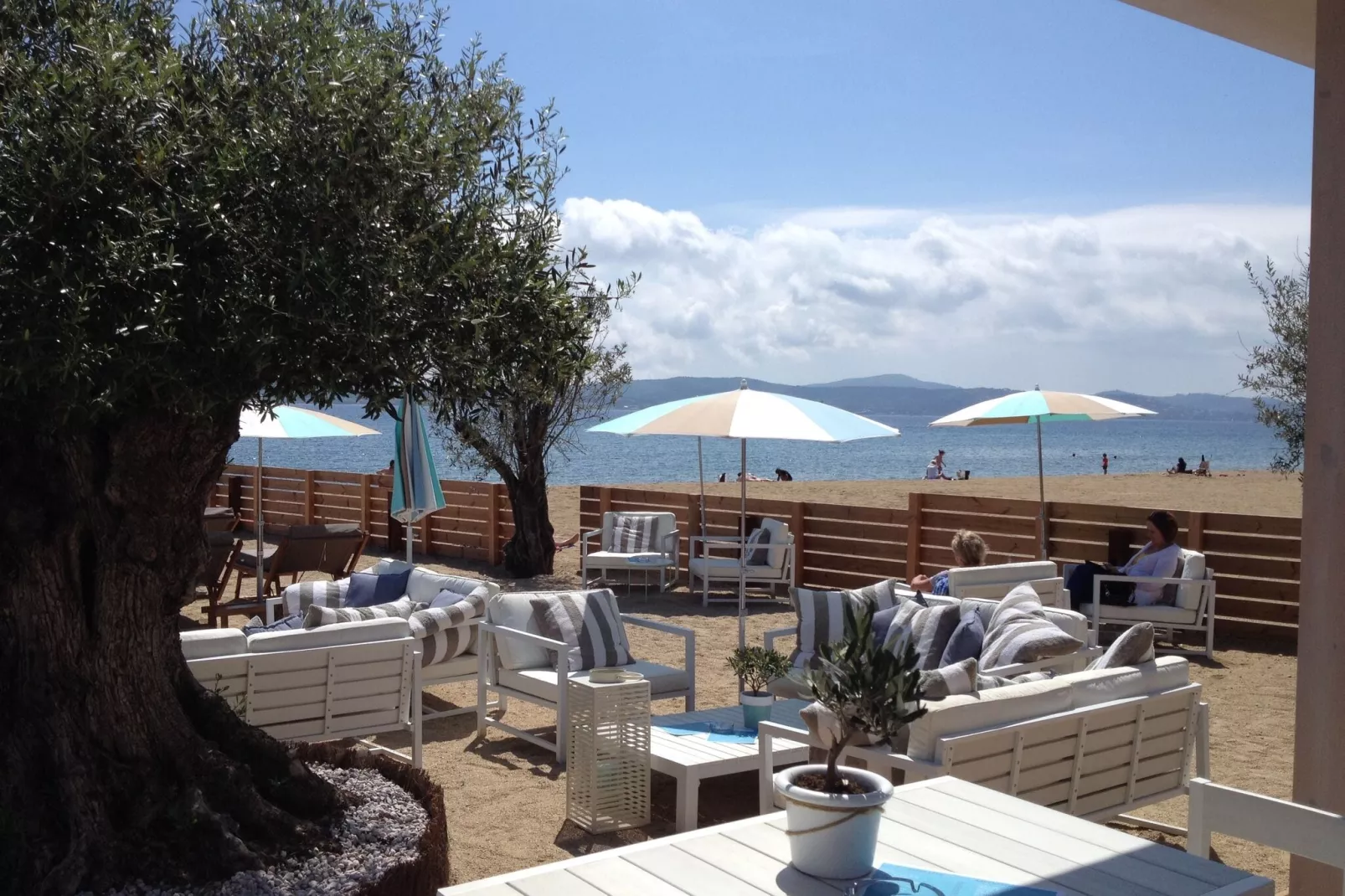 Bellevue-Gebieden zomer 1km