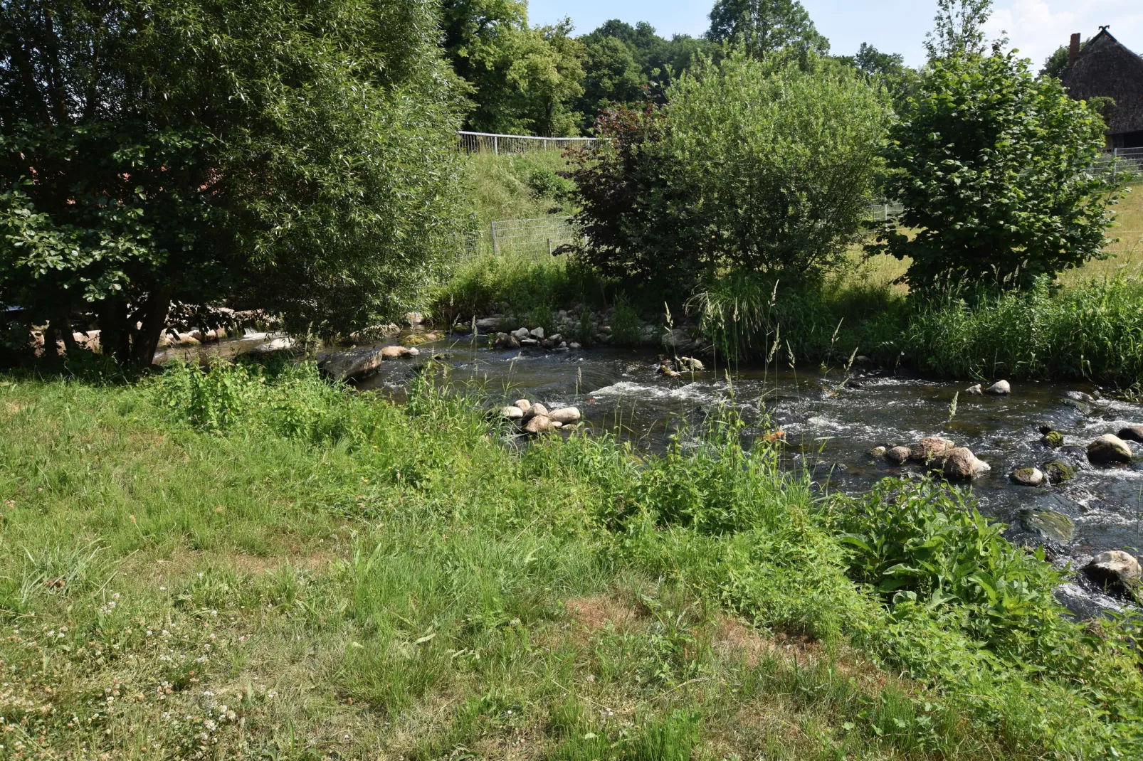 Am Hellbach-Gebieden zomer 1km