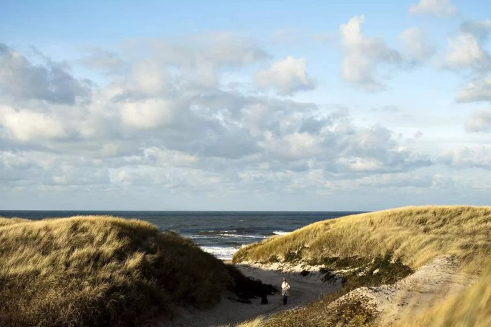 5 persoons vakantie huis op een vakantie park in Hvide Sande-Binnen