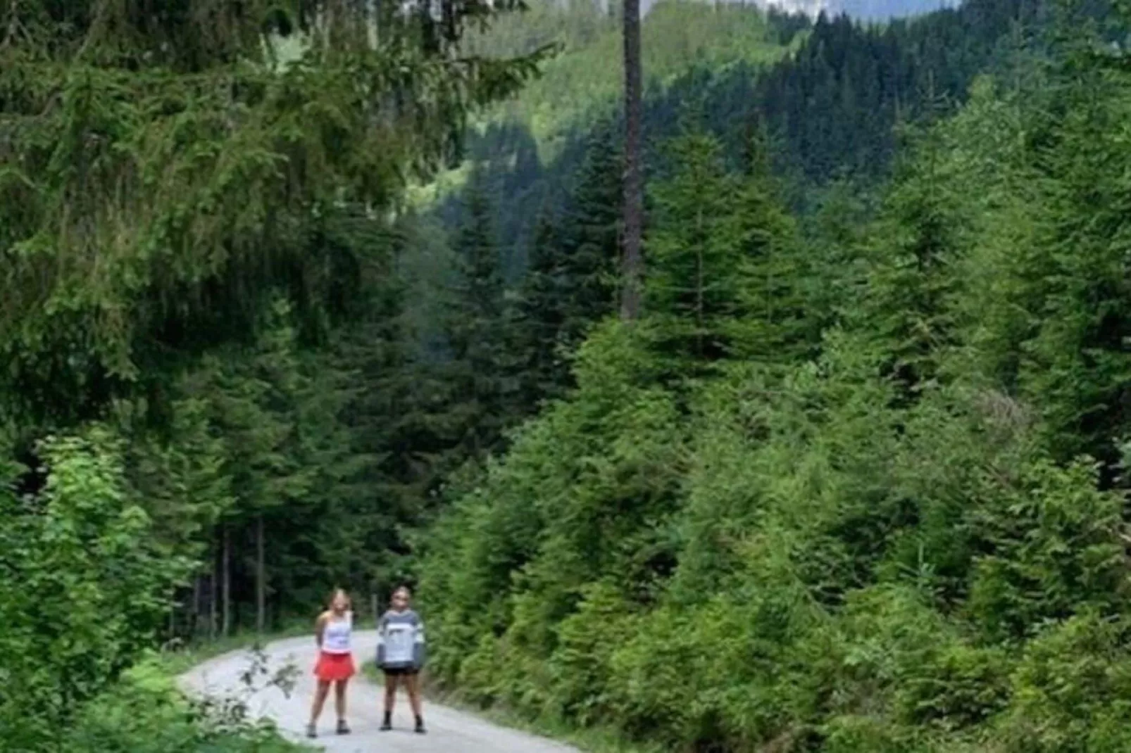 Landhaus Josien-Gebieden zomer 5km