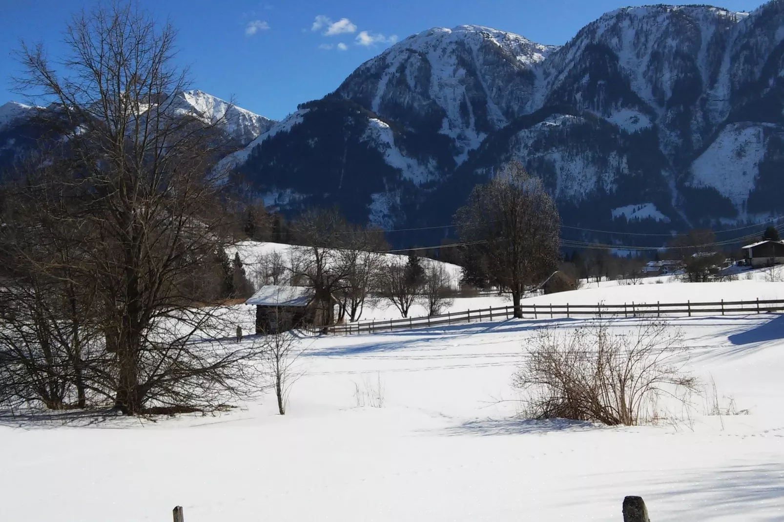 Wengerwald-Gebied winter 1km