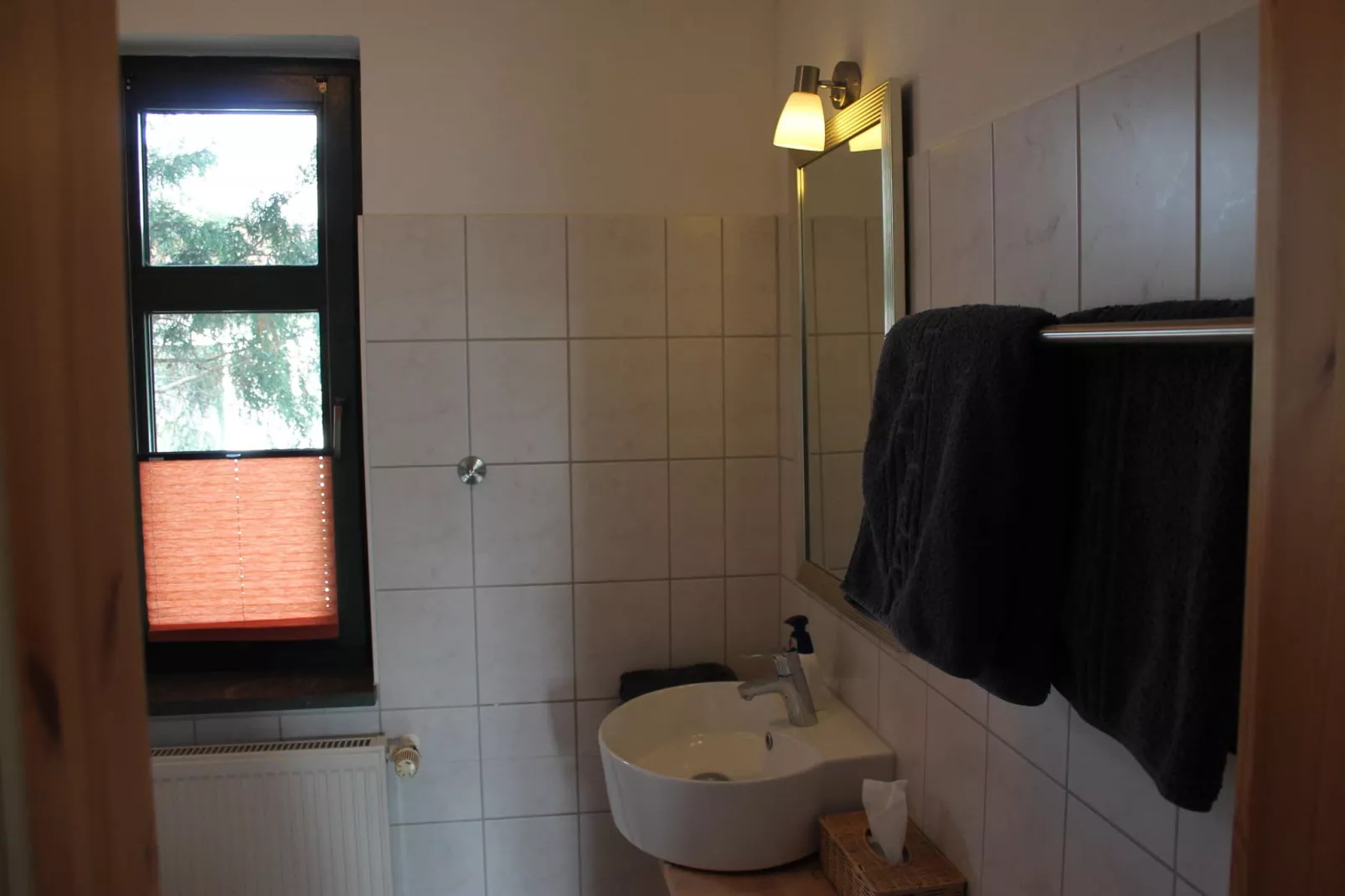 Wohnung Bornholm im kleinen Ferienpark-Badkamer