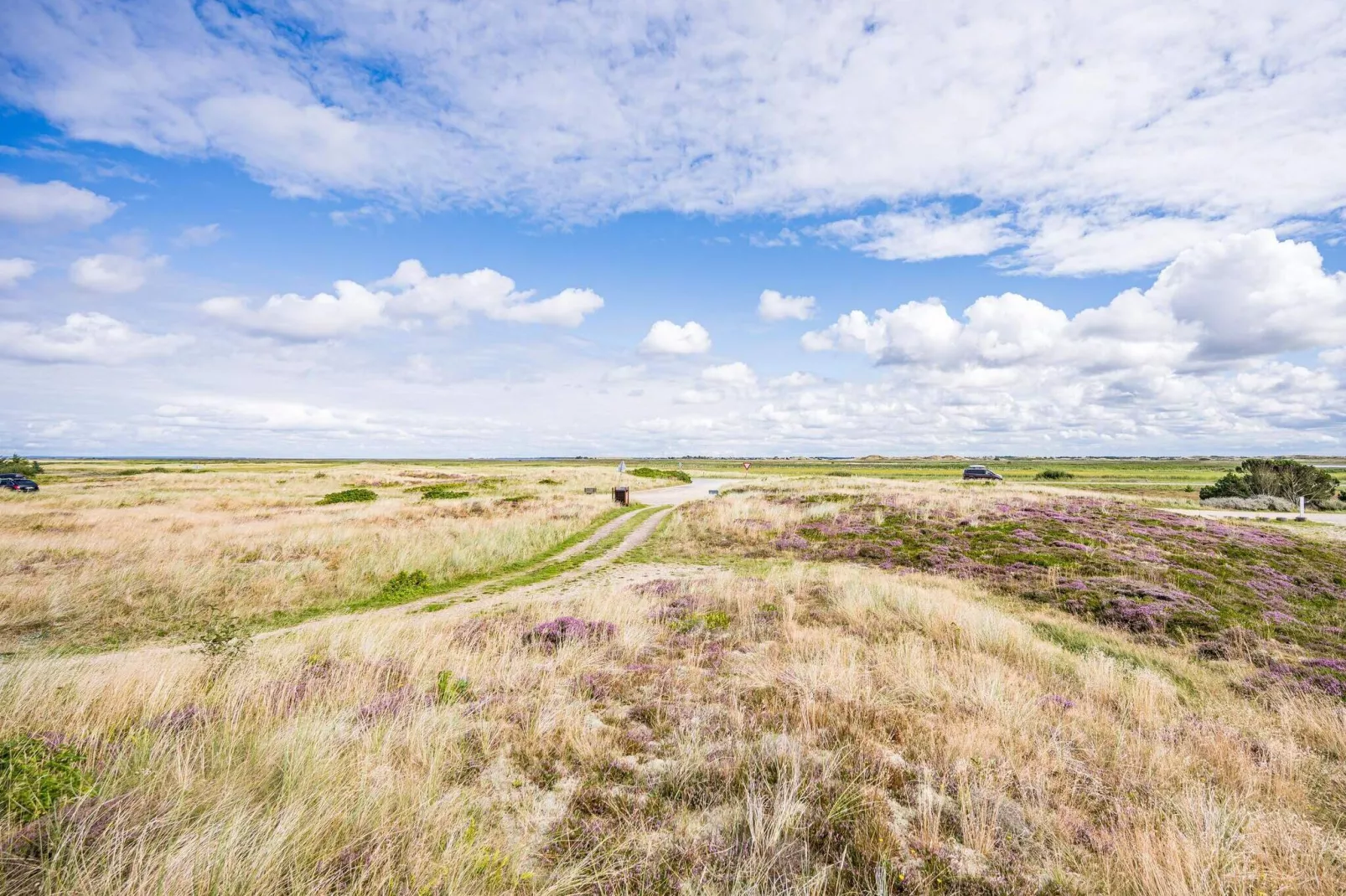 4 persoons vakantie huis in Hvide Sande-Uitzicht