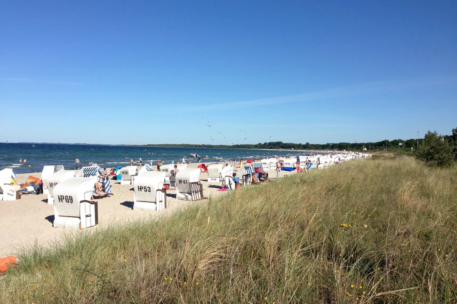 Ostseewind-Gebieden zomer 1km