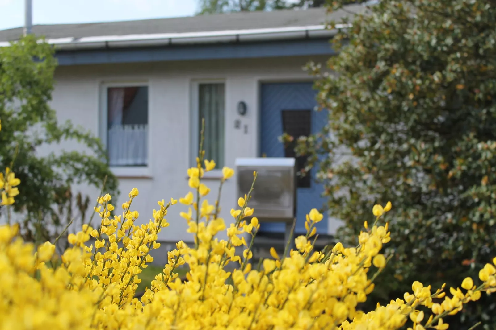Das DarßHaus mit Kamin und Garten-Buitenkant zomer