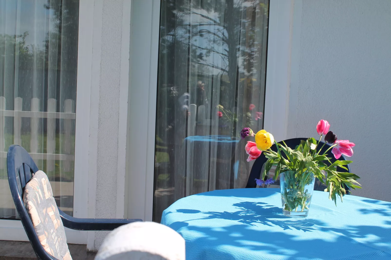 Das DarßHaus mit Kamin und Garten-Terrasbalkon