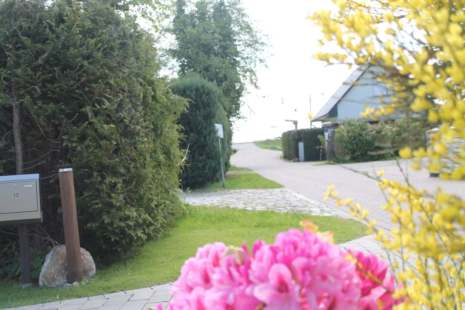 Das DarßHaus mit Kamin und Garten-Gebieden zomer 1km