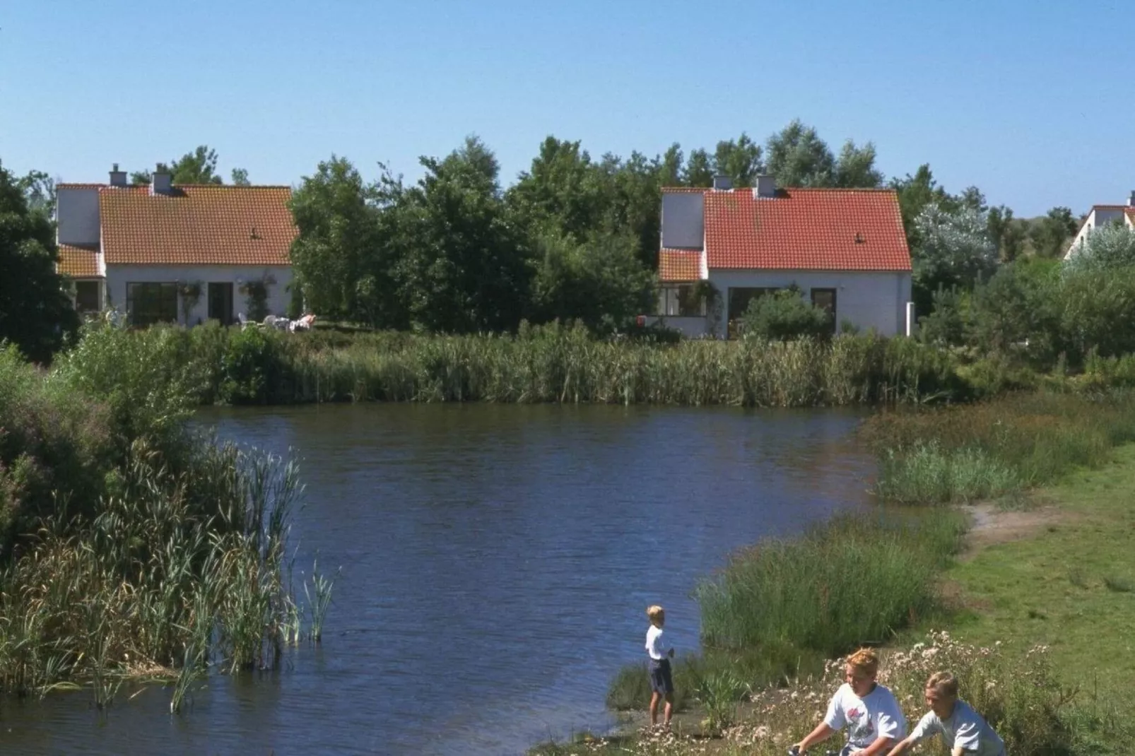 Vakantiepark de Krim 2-Uitzicht zomer