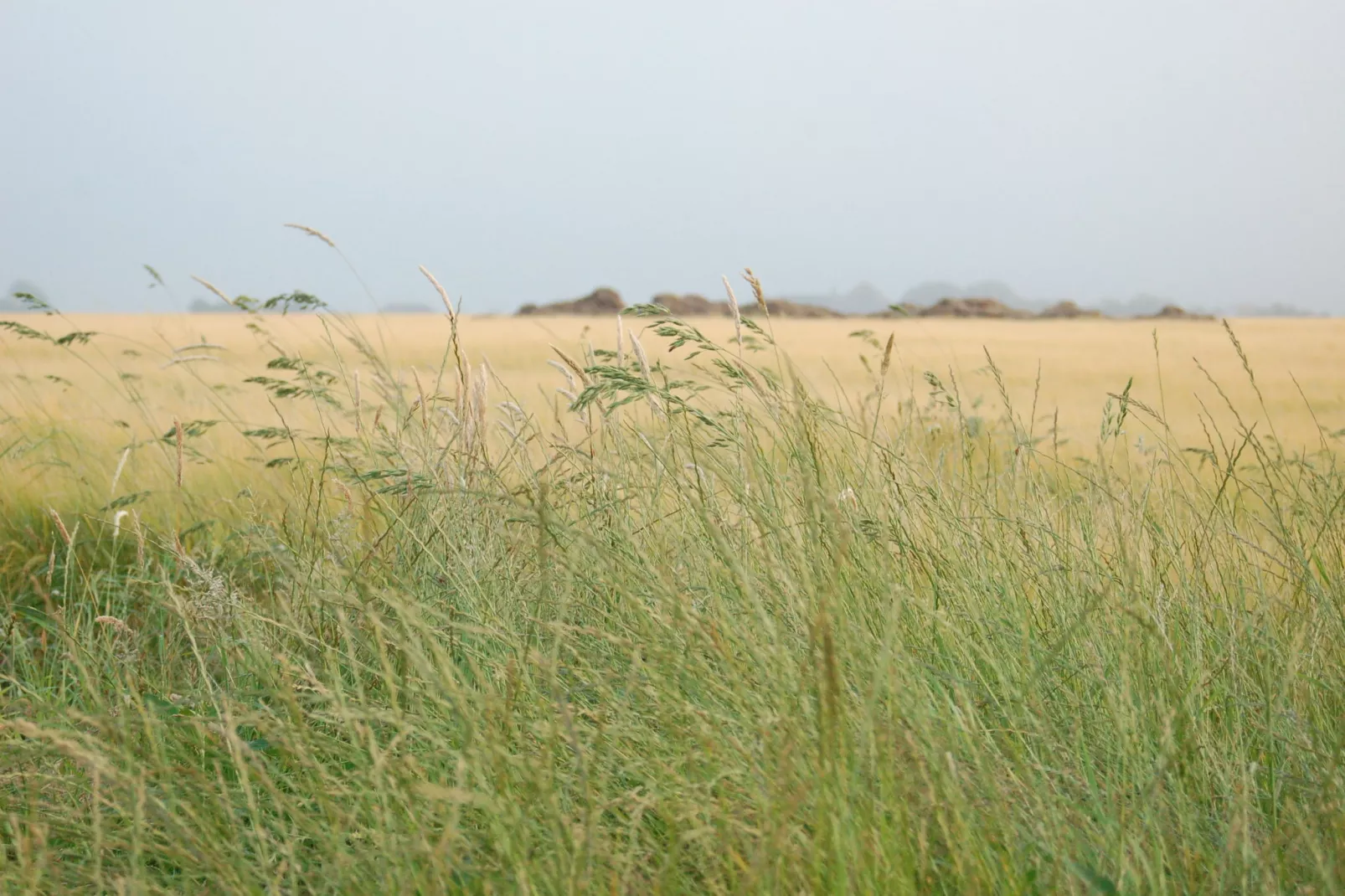 Kustpark Texel 13-Gebieden zomer 5km