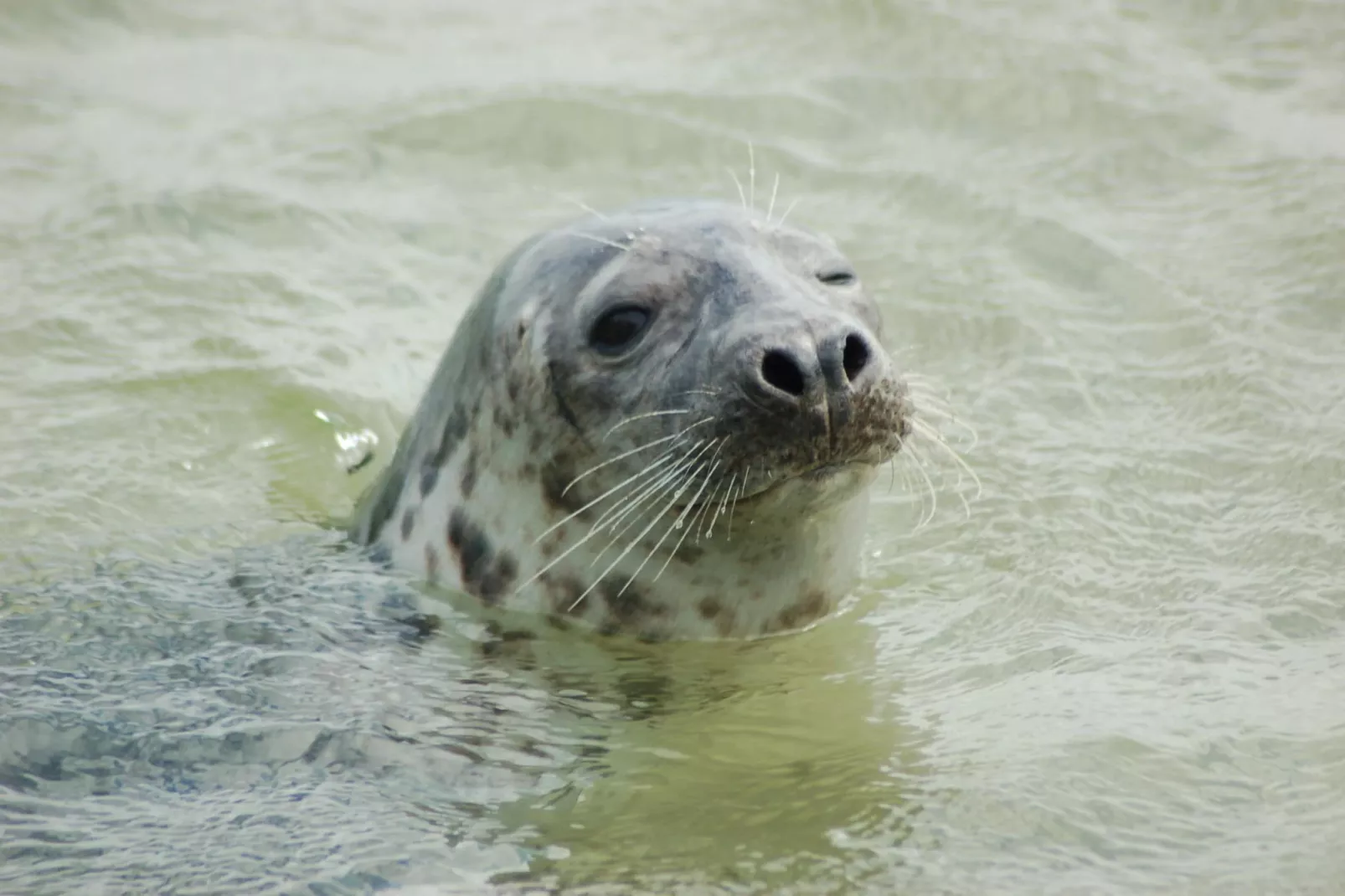 Kustpark Texel 13-Sfeer