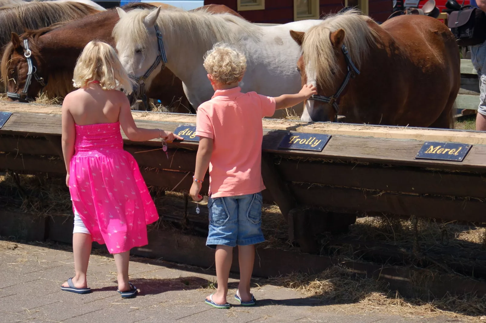 Kustpark Texel 13-Sfeer