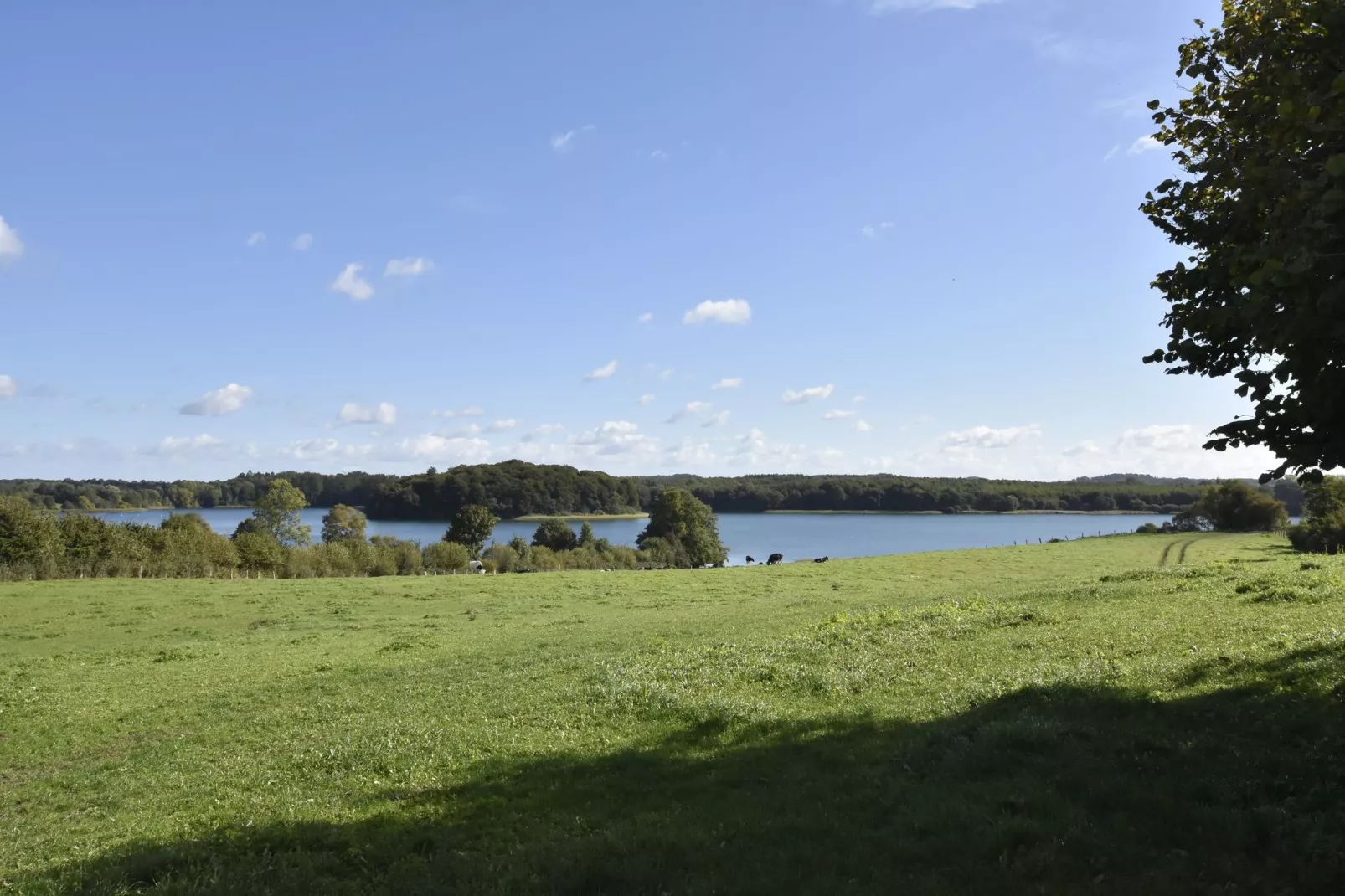 Idylle am Schluensee-Gebieden zomer 1km